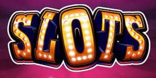 betdogs