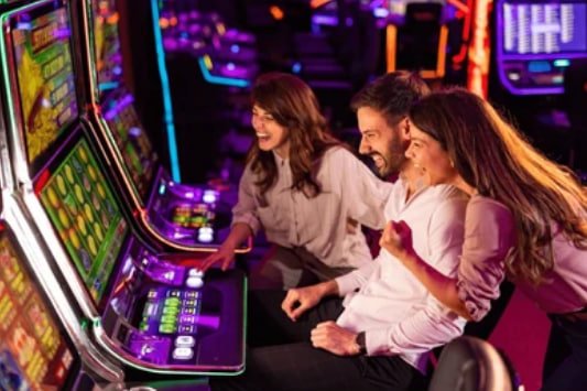 betdogs