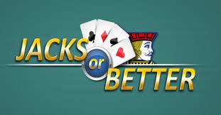 betdogs