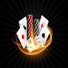 betdogs
