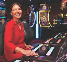 betdogs