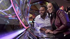 betdogs