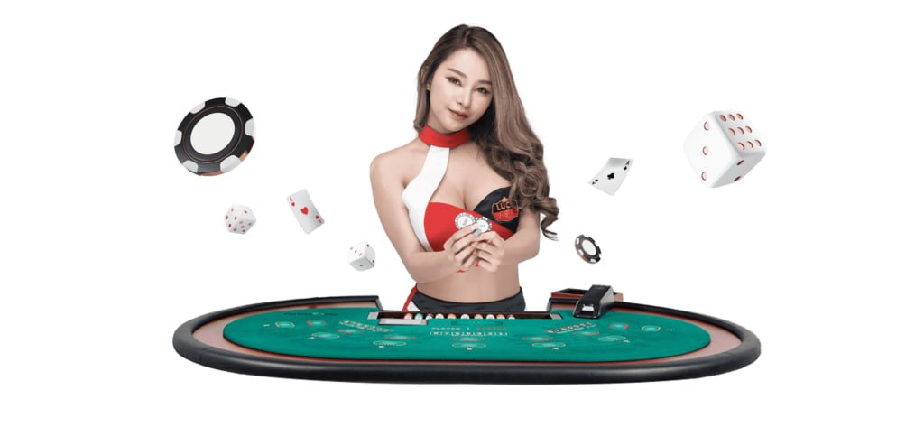 betdogs