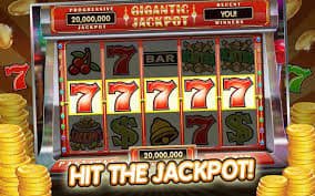 betdogs